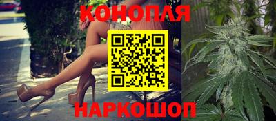 Альфа ПВП Обь