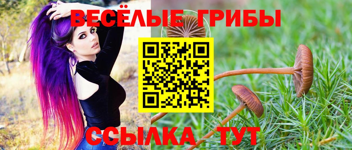 Псилоцибиновые грибы мухоморы Санкт-Петербург